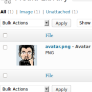 WordPress Custom Avatar Plugins